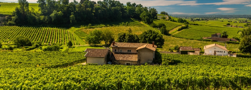 Tourisme Bourgogne : Destinations Et Lieux D'intérêt En Bourgogne